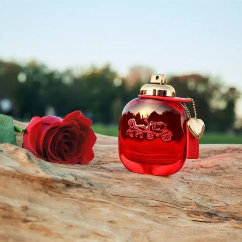 Coach Love edp 50ml