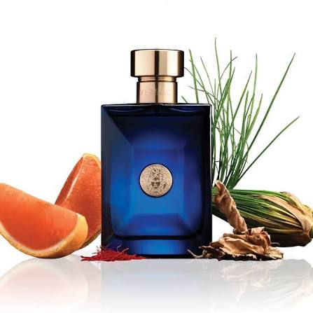 Versace Dylan Blue edt 100ml Tester Box