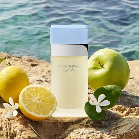 Dolce & Gabbana Light Blue edt 100ml Tester Box